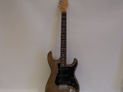 Elgitarr Momose MC2