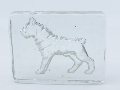 Glasblock, Boston terrier.