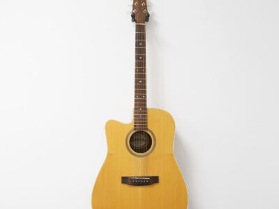 Akustisk Gitarr Landola
