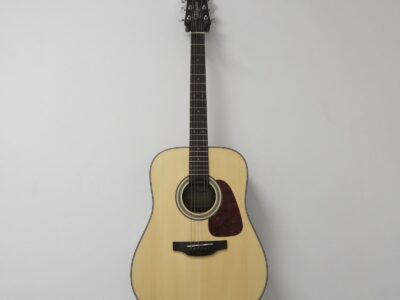 Akustisk Gitarr Takamine GD10-NS