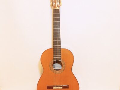 Akustisk gitarr Manuel Rodríguez e Hijos