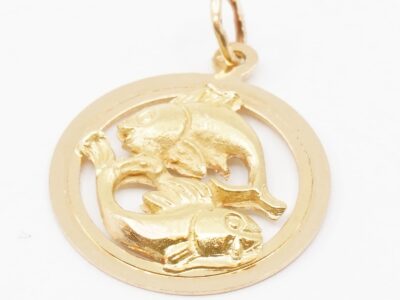 Hänge Guld 18K Höjd 26mm Fiskarna