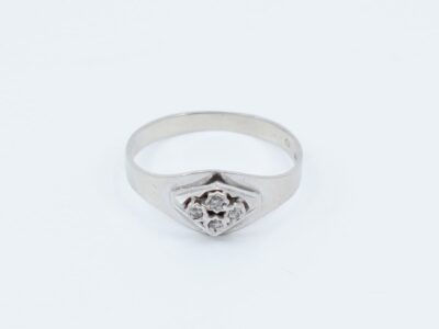 Ring Vitguld med