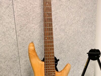 Elbas Ibanez SR305