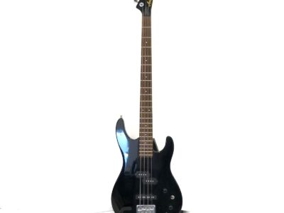 Elbas Spirit by Steinberger