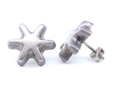 Örhängen Silver S925 4,1g