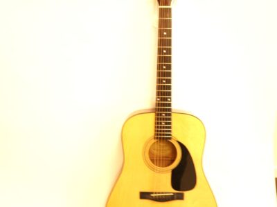 Akustisk Gitarr Fender