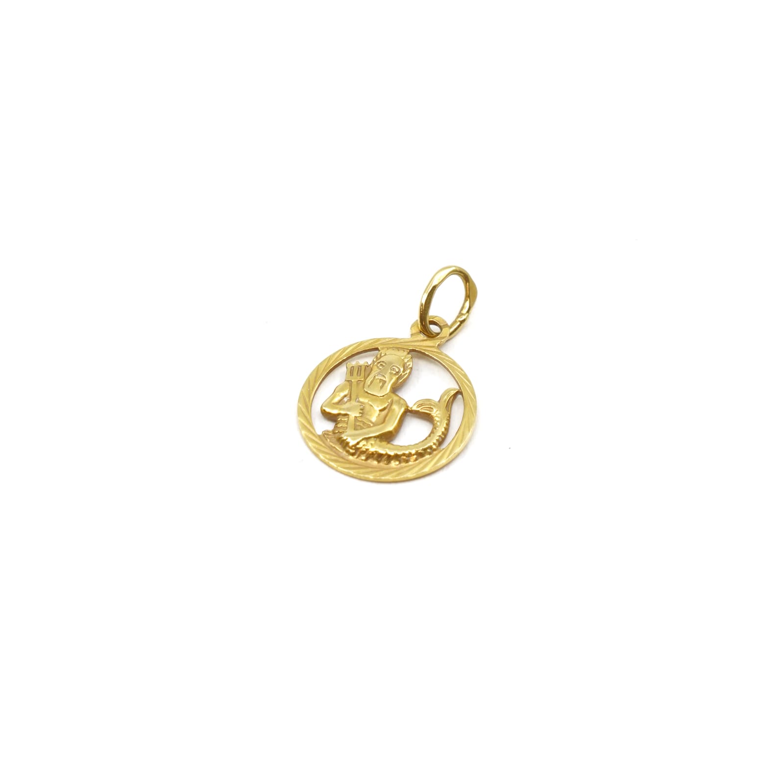 Hänge/berlock Vattumannen Guld 18K
