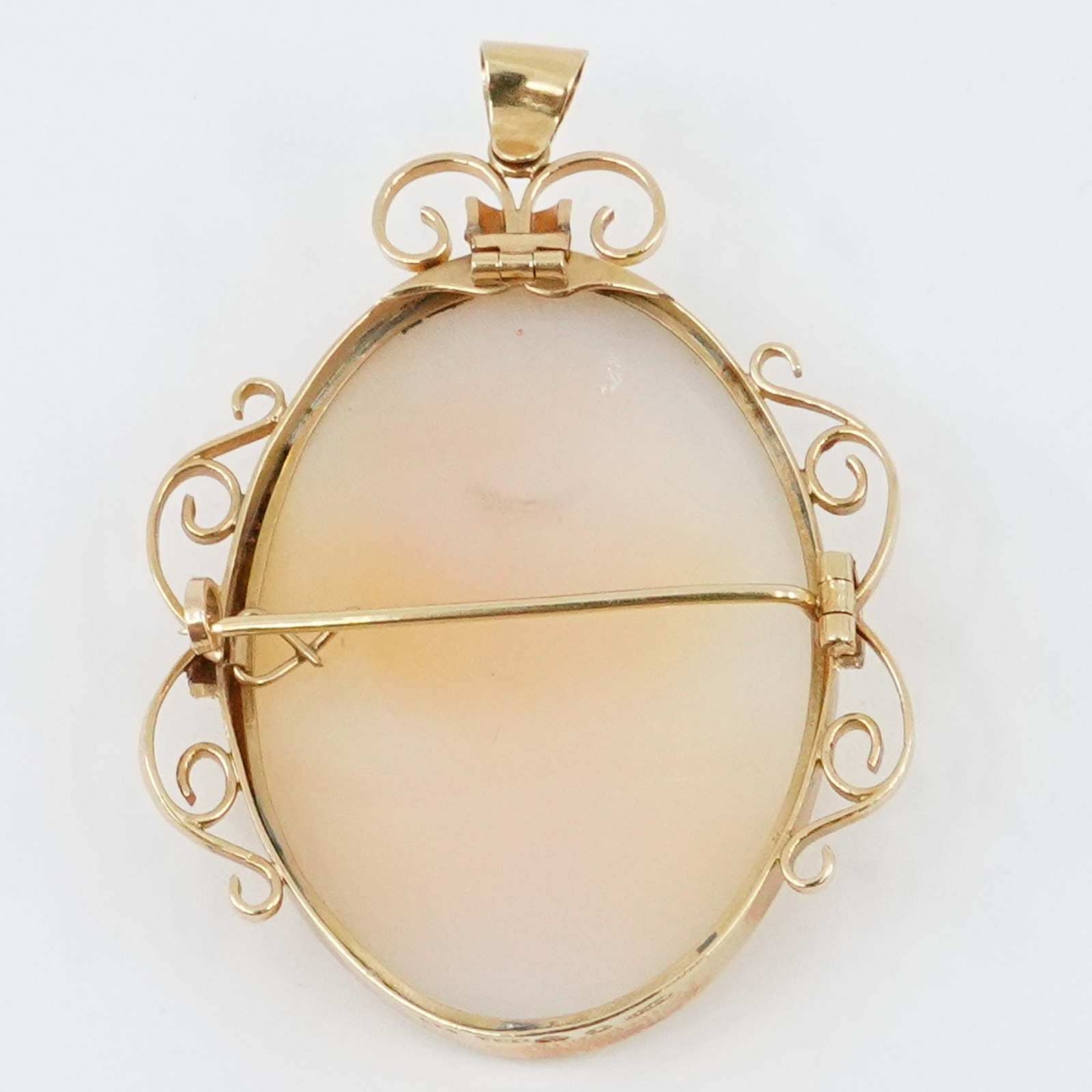 Hänge/Brosch Guld med Camé