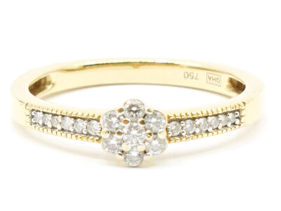 Ring Guld 18K med diamanter 19xca0,005-0,02ct