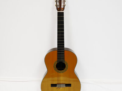 Akustisk Gitarr Ibanez Vintage