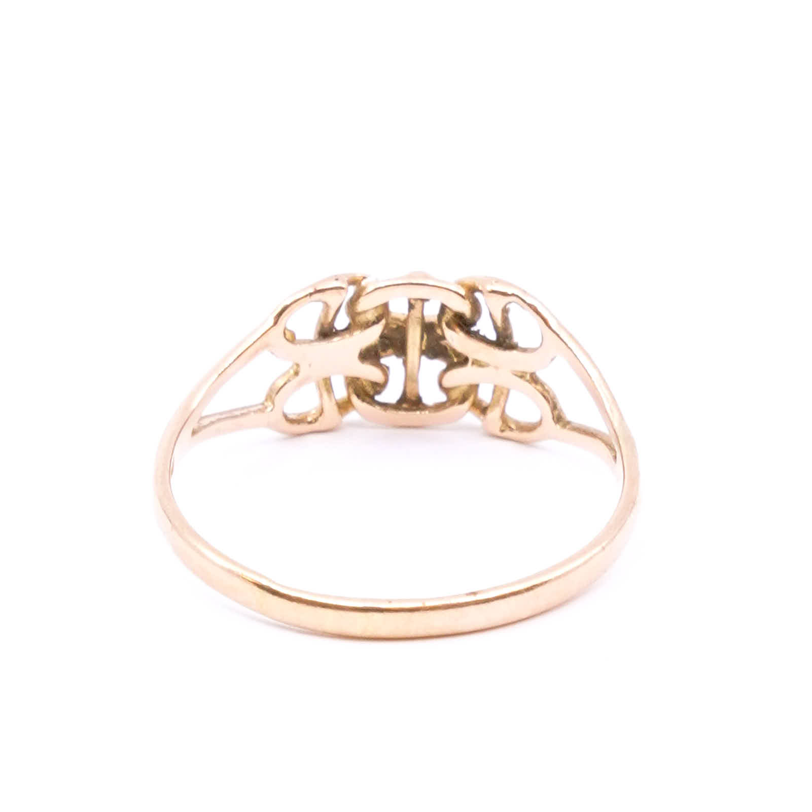 Ring X-länk med